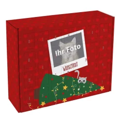Adventskalender für Katzen zum selbst Füllen