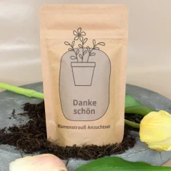 Anzuchtset - Danke schön Geschenk pflanzfertig