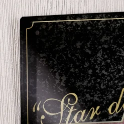 Blechschild mit Aufdruck Star des Abends Walk of Fame