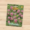Chrestensen Samen | Glücksklee (Rotklee)
