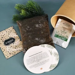 Dein Christbaum 2030 - Zum selber ziehen!
