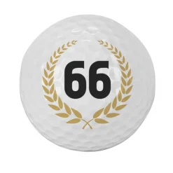 3er Set Golfbälle personalisiert mit Zahl im Lorbeerkranz | Geschenk zum Geburtstag oder Jubiläum