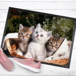 Fußmatte bedruckt mit Foto als Geschenk zum Einzug & Hausbau