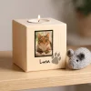Gedenklicht für Katzen mit Foto und Name