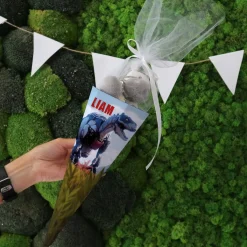 Kleine Geschwister-Schultüte mit Roboter T-Rex und Name, 28 cm