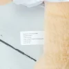 Kuscheltier Brautpaar personalisiert mit Foto Gesicht | Ehefrauen Teddy Hochzeitsgeschenk