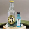 Lustiges Ginderella Geschenkset mit bedrucktem Glas, Bombay Gin und Tonic Water