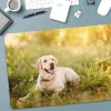 Mousepad XXL mit eigenem Foto | Personalisierte Schreibtischunterlage