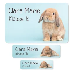 Namensaufkleber mit Hase Motiv & Wunschtext personalisiert für Schule, Kindergarten & Einschulung