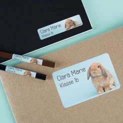 Namensaufkleber mit Hase Motiv & Wunschtext personalisiert für Schule, Kindergarten & Einschulung