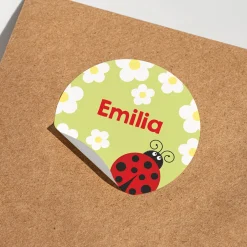 Namensaufkleber mit Marienkäfer Motiv und Name personalisiert | 84 Sticker für Kindergarten & Schule