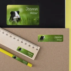 Namensaufkleber mit Meerschweinchen Motiv & Wunschtext personalisiert | Geschenk zur Einschulung