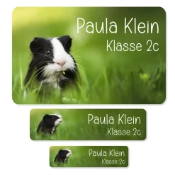 Namensaufkleber mit Meerschweinchen Motiv & Wunschtext personalisiert | Geschenk zur Einschulung