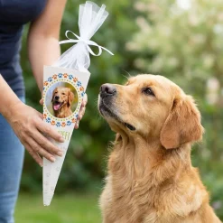 Personalisierte Schultüte für Hunde & Welpen mit Foto | Zuckertüte für Hundeschule | 28 cm