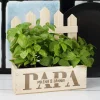 Pflanzkorb für Papa personalisiert in Zaunoptik | Holz Geschenkkorb zum Vatertag & Geburtstag