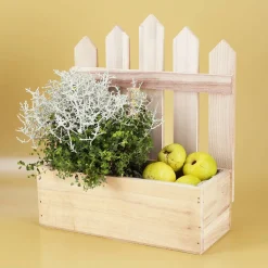 Pflanzkorb - Geschenk für jeden Anlass B-Ware