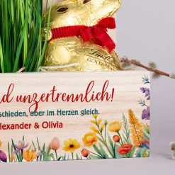 Ungewöhnliche Freundschaft – Schokoladige Überraschung im Pflanzkorb zu Ostern & Weihnachten