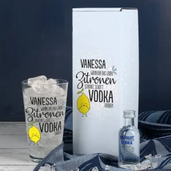 Vodka-Geschenkset mit Trinkglas und Absolut Vodka in Geschenkverpackung